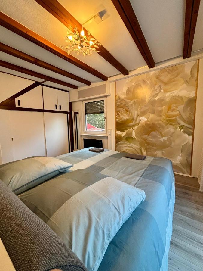 Ferienhaus Veronika Odenwald Brensbach 外观 照片